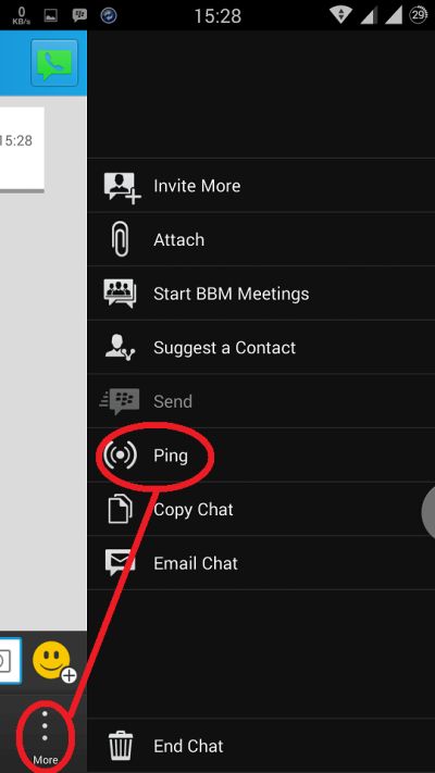 cara pakai ping di bbm android